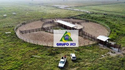 Fazenda, 520 hectares - Foto 3
