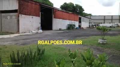 Depósito-Galpão, 1000 m² - Foto 4