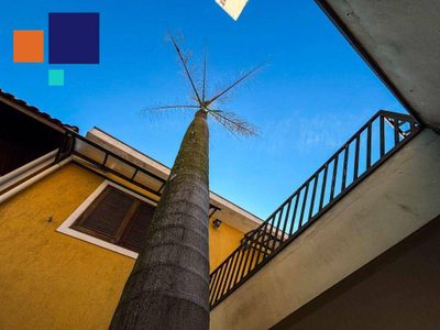 Casa, 3 quartos, 358 m² - Foto 3