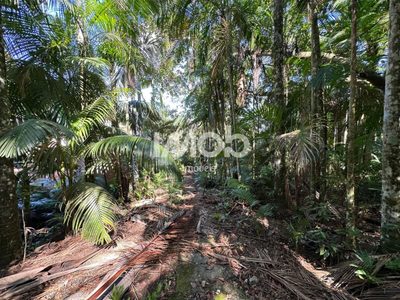 Chácara, 2 hectares - Foto 5