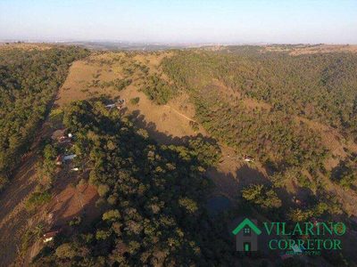Fazenda, 16 hectares - Foto 4