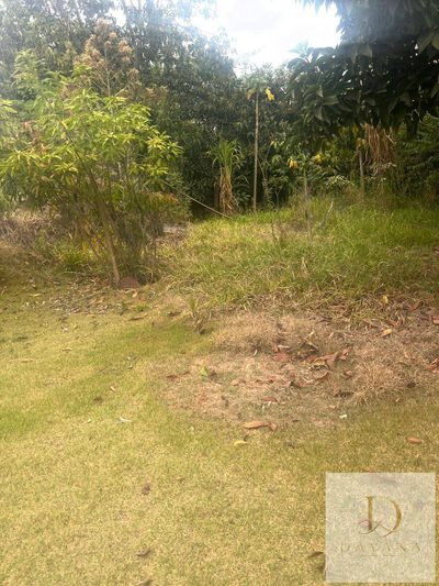 Terreno, 1000 m² - Foto 3