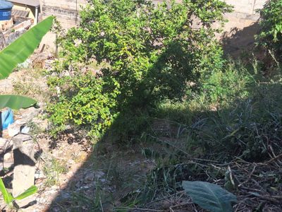 Terreno, 210 m² - Foto 1