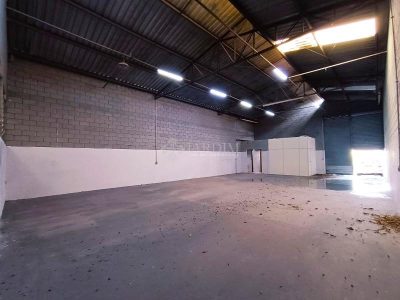Depósito-Galpão, 250 m² - Foto 4