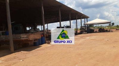 Fazenda, 3308 hectares - Foto 5