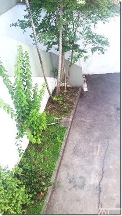 Prédio Inteiro, 650 m² - Foto 5