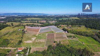 Terreno, 3 hectares - Foto 3