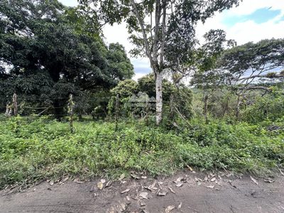 Terreno, 6059 m² - Foto 2