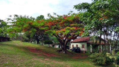 Sítio, 3 quartos, 6 hectares - Foto 3