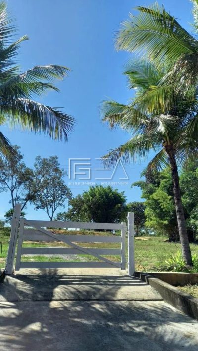 Fazenda, 34 hectares - Foto 4