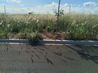 Terreno, 400 m² - Foto 5