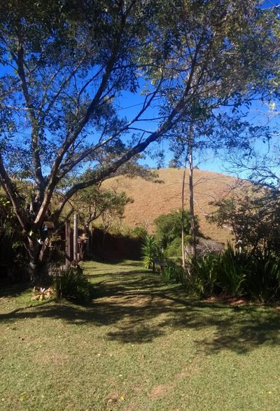 Fazenda, 201 hectares - Foto 3