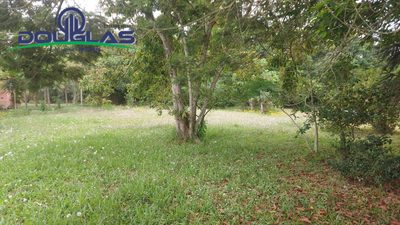 Terreno, 1000 m² - Foto 4