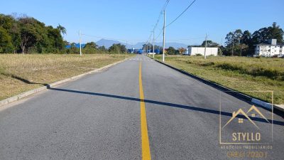 Terreno, 203 hectares - Foto 4
