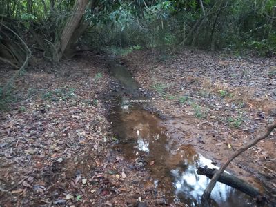 Chácara, 3 quartos - Foto 5