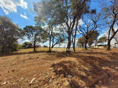 Terreno, 6000 m² - Foto 5