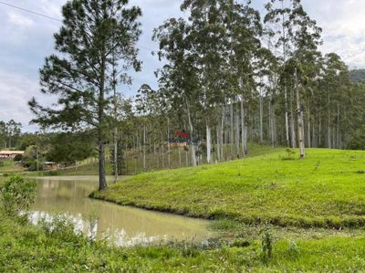 Terreno, 3 hectares - Foto 2