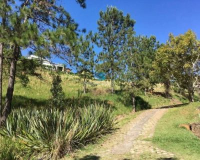 Terreno - Foto 2