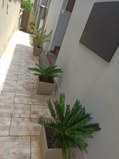 Apartamento, 2 quartos, 45 m² - Foto 2
