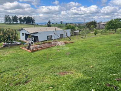 Chácara, 10000 m² - Foto 3