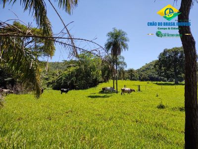 Fazenda, 3 quartos - Foto 2
