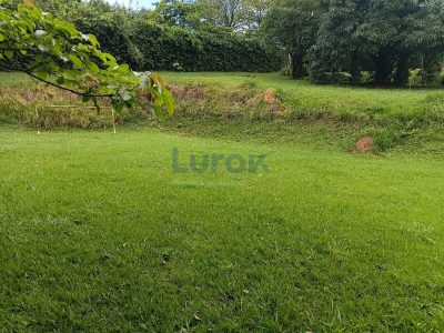 Terreno, 1130 m² - Foto 5