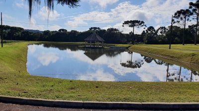 Terreno, 12 hectares - Foto 3