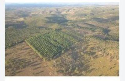 Fazenda - Foto 3