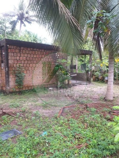 Terreno, 6200 m² - Foto 2