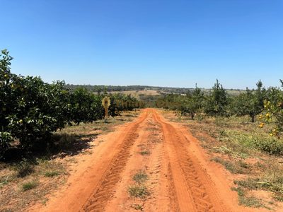 Fazenda, 33 m² - Foto 1