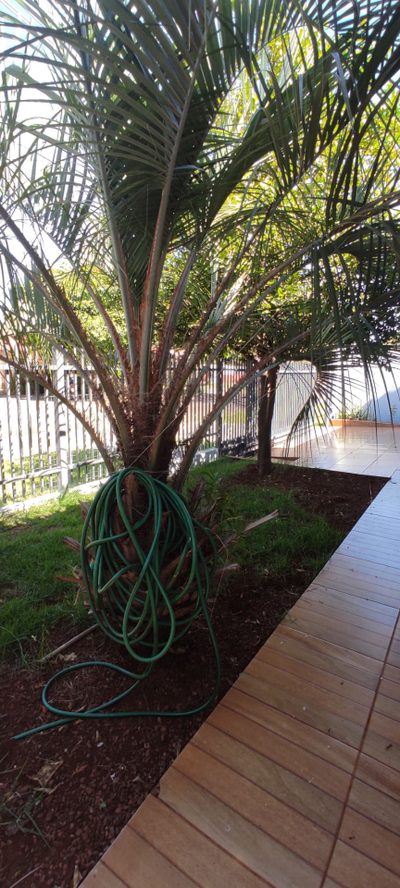 Casa, 4 quartos, 202 m² - Foto 2