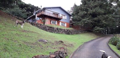 Casa, 3 quartos, 231 m² - Foto 2