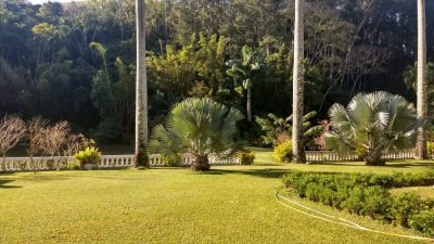Fazenda, 385 hectares - Foto 3