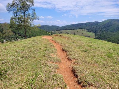 Terreno, 2 hectares - Foto 4
