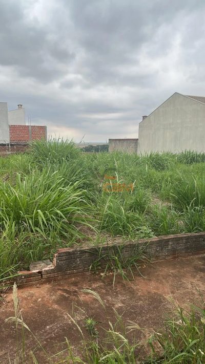 Terreno, 300 m² - Foto 3