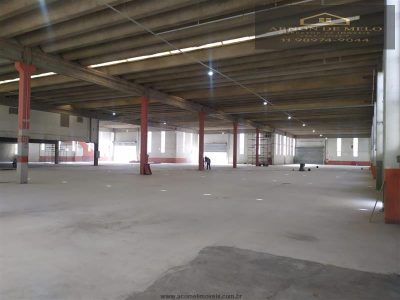 Depósito-Galpão, 5000 m² - Foto 4