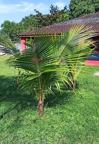 Fazenda, 2064 m² - Foto 4