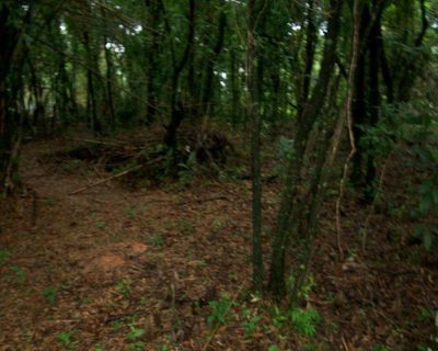 Terreno, 1 hectares - Foto 2