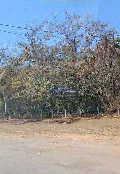 Fazenda, 1186 hectares - Foto 4