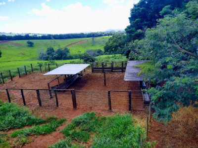 Fazenda - Foto 1