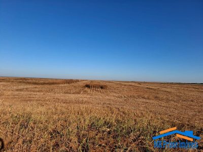 Terreno, 1800 hectares - Foto 1