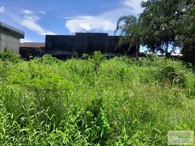 Terreno, 250 m² - Foto 1