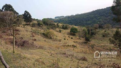 Sítio, 4 quartos, 34 hectares - Foto 4