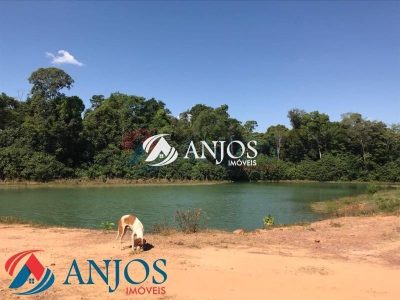 Sítio, 10000 m² - Foto 2