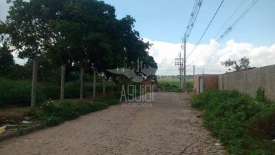 Terreno, 1980 m² - Foto 3