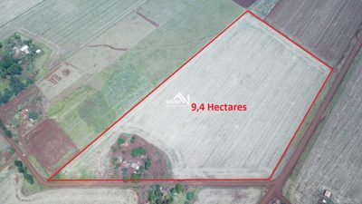 Chácara, 3 quartos, 9 hectares - Foto 1