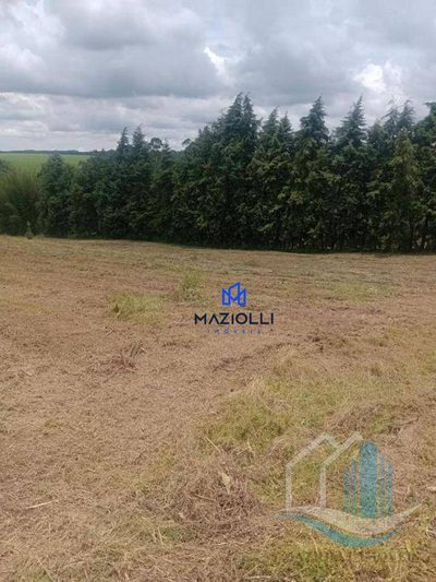 Terreno, 3 hectares - Foto 1