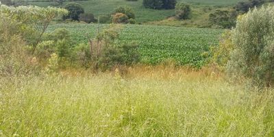 Fazenda, 68 hectares - Foto 3