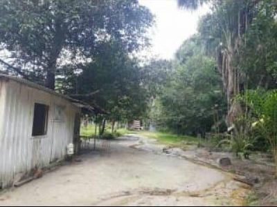 Sítio, 1 quarto, 770 m² - Foto 1