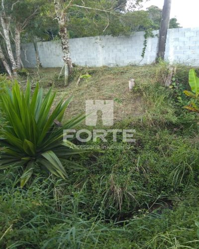 Chácara, 1 quarto, 1440 m² - Foto 3